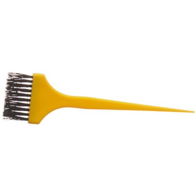 Sanotint Färbepinsel - Professional Hair Color Application Brush