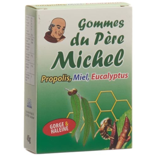 Biooligo Gommes du Pere 미셸 유칼립투스 Ds 45g