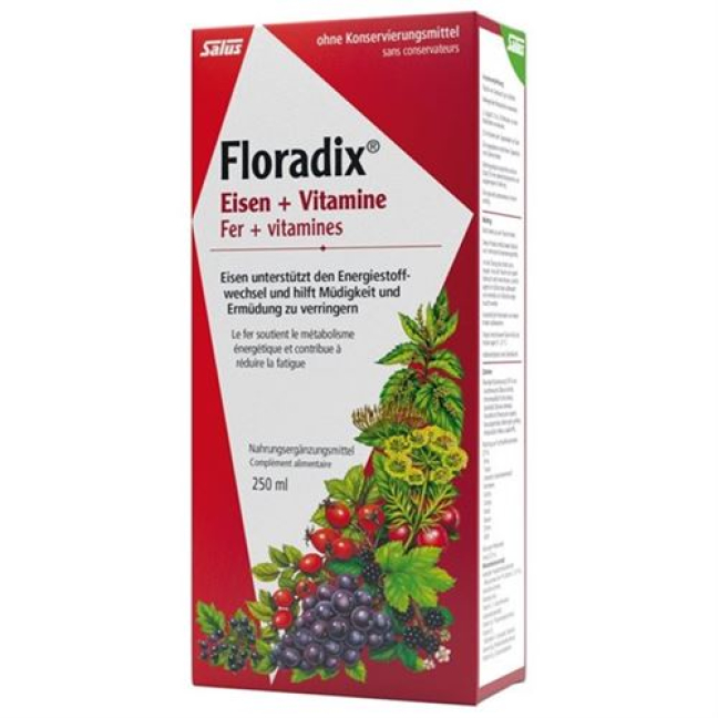 Floradix темір + витаминдер шырыны бөтелкесі 250 мл