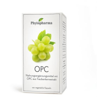 Phytopharma OPC 95 mg 120 cápsulas