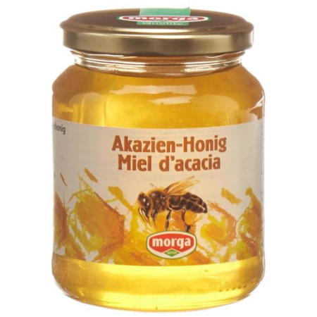 Morga Acacia Honey Abroad Glass 500 g