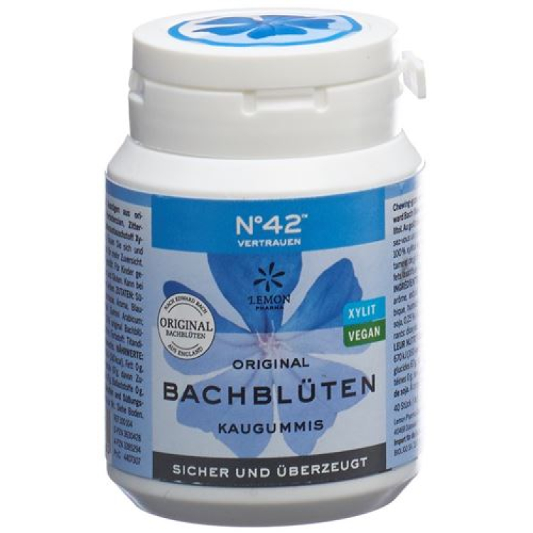 Goma de Mascar Bioligo Dr Bach Autoconfiança Ds 60 g