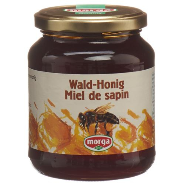 Morga forest honey abroad jar 500 g