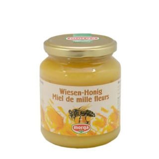 MORGA miel de prairie à l'étranger pot 500 g