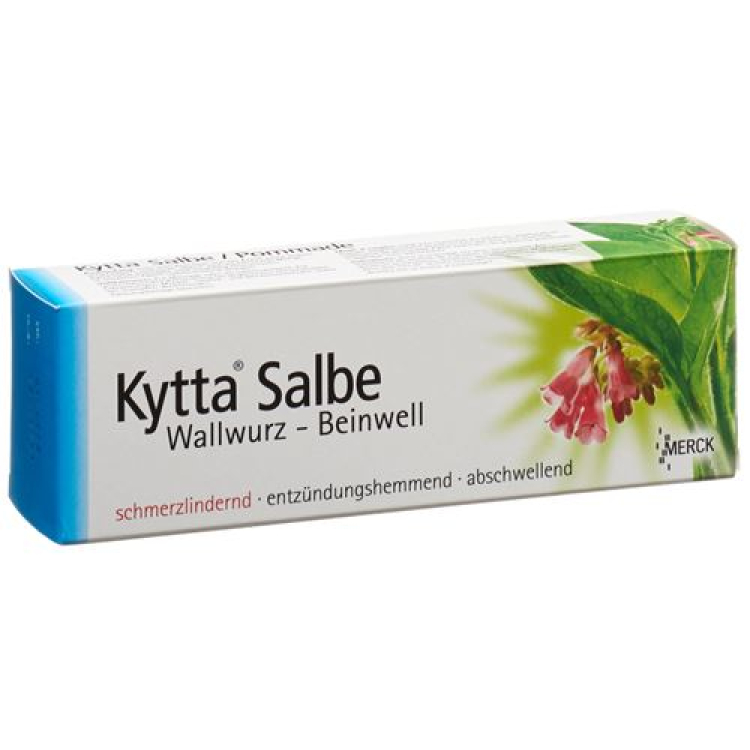 Kytta ointment 100 g