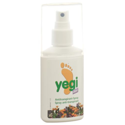 Yegi deo 발한 억제제 vapo 75ml