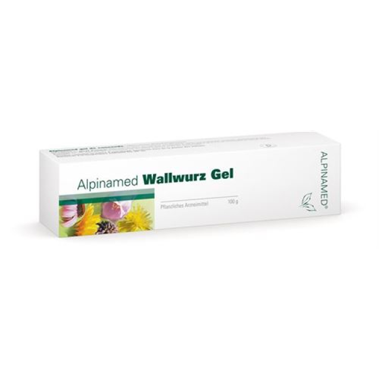 ALPINAMED comfrey gel Tb 100 g