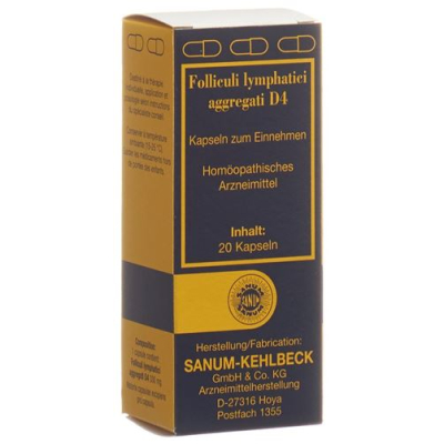 Sanum folliculi lymphatici aggregati kaps d 4 20 កុំព្យូទ័រ