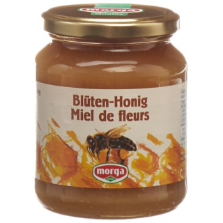 Morga flowers honey abroad jar 500 g