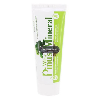 PinusMineral toothpaste without mint without fluoride 75 ml
