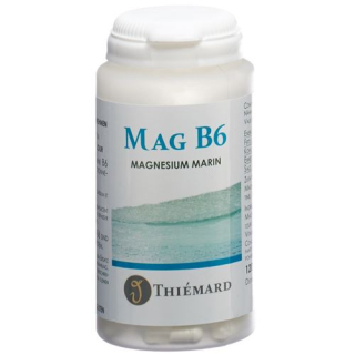Mag B6-capsules 120 st