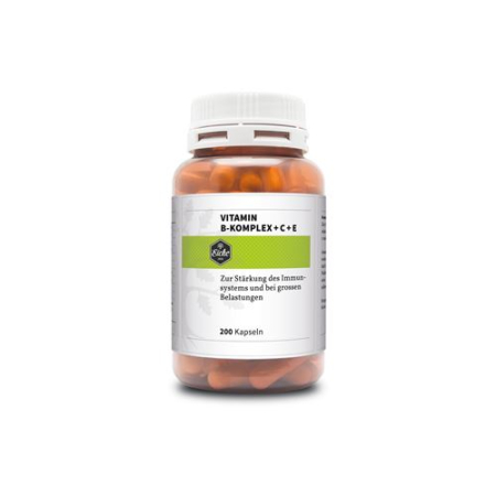 Complexe de vitamine B de chêne + capsules C + E Ds 100 pcs