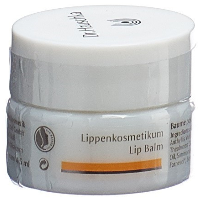 Dr Hauschka lūpų kosmetika 4,5 ml