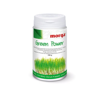 Morga Green Power Plv Ds 100г
