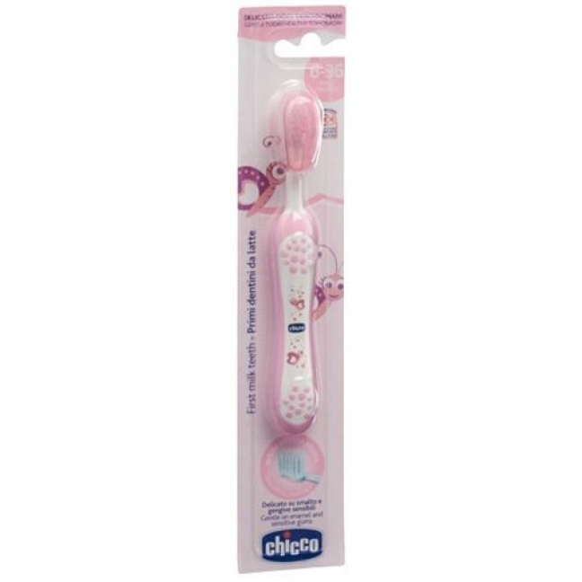 Chicco toothbrush pink 6m +