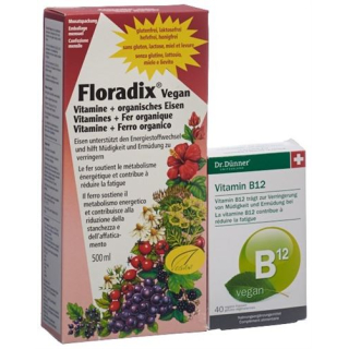 Floradix HA vitaminer + økologisk jernflaske 500 ml
