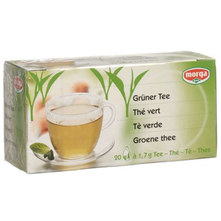 Saco de chá verde Morga sem casco 20 unid.