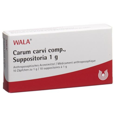 Wala Carum carvi komp. Supp 10 x 1 g