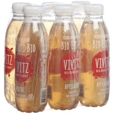 Vivitz bio ľadový čaj jablko mäta 6 x 0,5 l