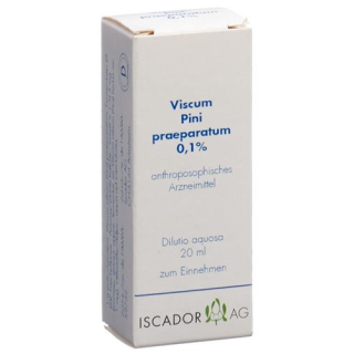 Iscador Viscum Pini praeparatum 0.1% Dilutio aquosa 20 ml