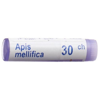 Boiron Apis mellifica Glob C 30 1 dose