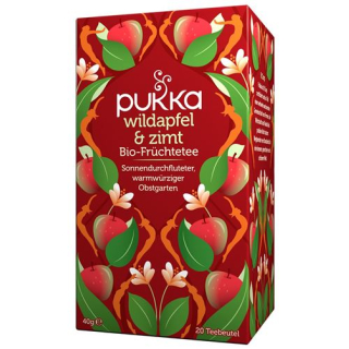 Pukka wild apple & cinnamon tea organic Btl 20 ភី