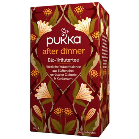 Pukka After Dinner Tea Organic Btl 20 vnt