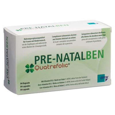 Pre natalben cape 84 កុំព្យូទ័រ