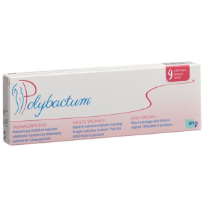 Ovules de Polybactum 9 unités