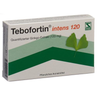 Tebofortin intens 120 Filmtabl 120 mg 30 pcs