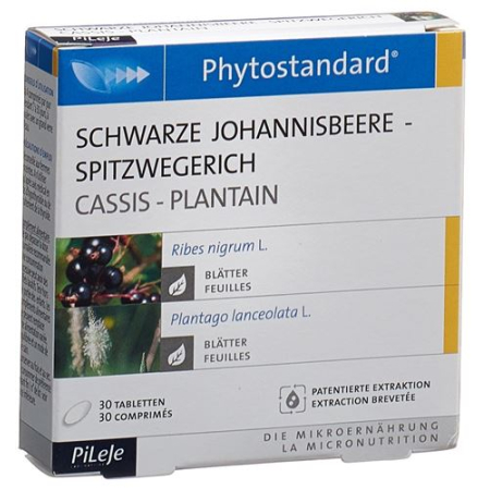 Phytostandard Blackcurrant - គ្រាប់ plantain 30 កុំព្យូទ័រ