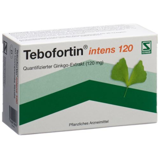 Tebofortin intens 120 filmske tablete 120 mg 90 kosov