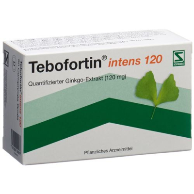 Tebofortin intens 120 film-coated tablets 120 mg 90 szt