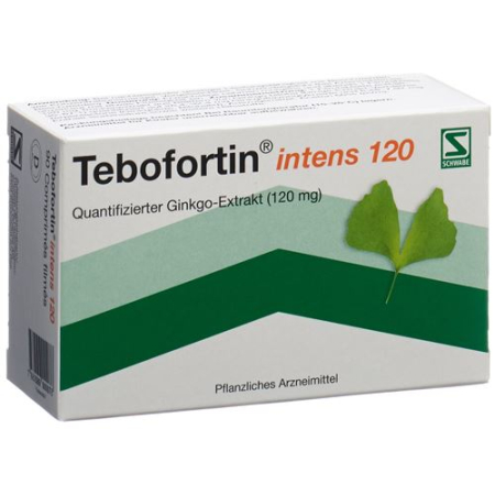 Tebofortin intens 120 filmske tablete 120 mg 90 kosov