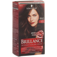 Brillance 880 Dark Brown