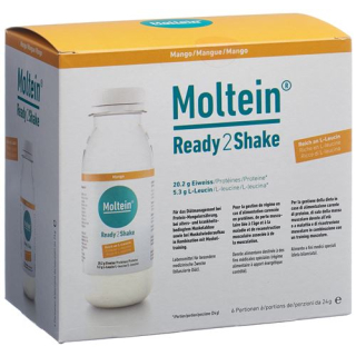 Moltein Ready2Shake Mango 6 Fl 24 g