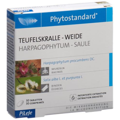 Phytostandard tabletki z wierzby diabelskiego pazura 30 szt