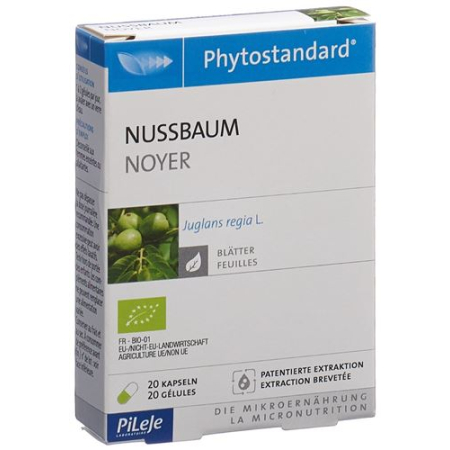 Phytostandard Orzech Kapsułki Bio 20szt