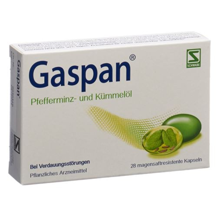 Gaspan Kaps enteric-coated 28 pcs