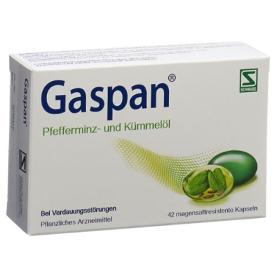 Gaspan kaps enteric-coated 42 pcs