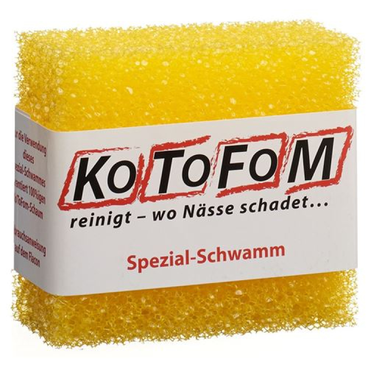 Kotofom sponge GRII