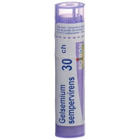 Boiron Gelsemium sempervirens Grande C 30 4 g