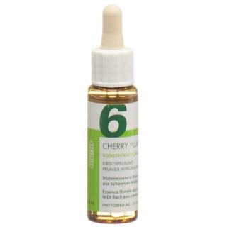 PHYTOMED Bach Flowers No6 Cherry Ploomi pudel 10 ml