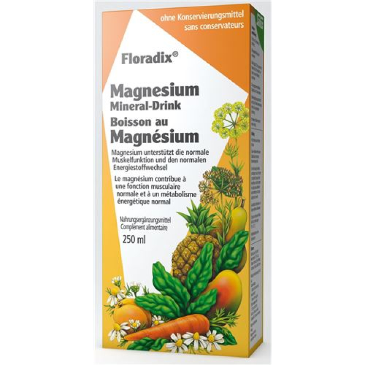 Salus Magnezowy Napój Mineralny 250 ml