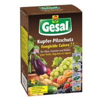 Gesal bakar antifungalna zaštita 70 ml