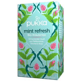Pukka Mint Refresh Tea Organic Btl 20 vnt