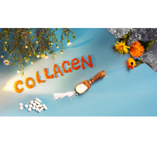 Building Bone Resilience: Unveiling the Benefits of Collagen Supplementation