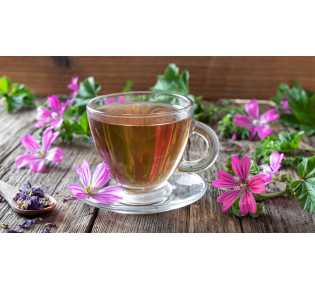 Slezov čaj: vaše zeliščno zdravilo za bronhialni katar in nego grla