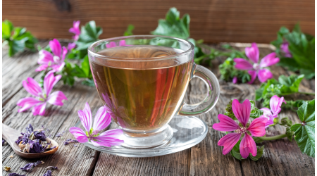 Mályva tea: A gyógynövényes gyógyszer a hörgőhurut és a torok kezelésére