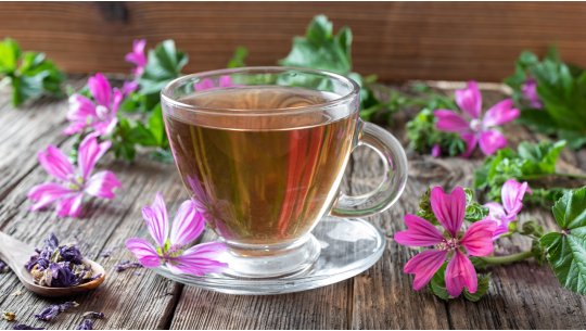 Herbata z malwy: ziołowy lek na katar oskrzeli i gardło